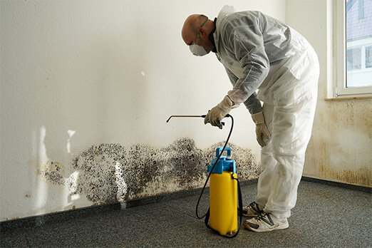 Mold Remediation And Removal Orange County CA
